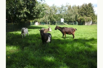 Groepsaccommodatie Moerkantheide in de Noorderkempem Vlaanderen VMP120